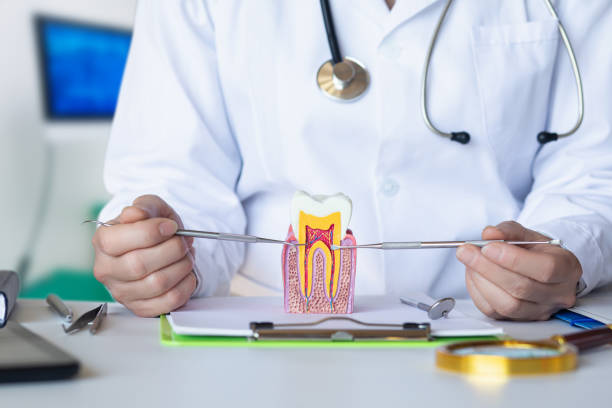 Best Emergency Dental Extractions in Crane, TX